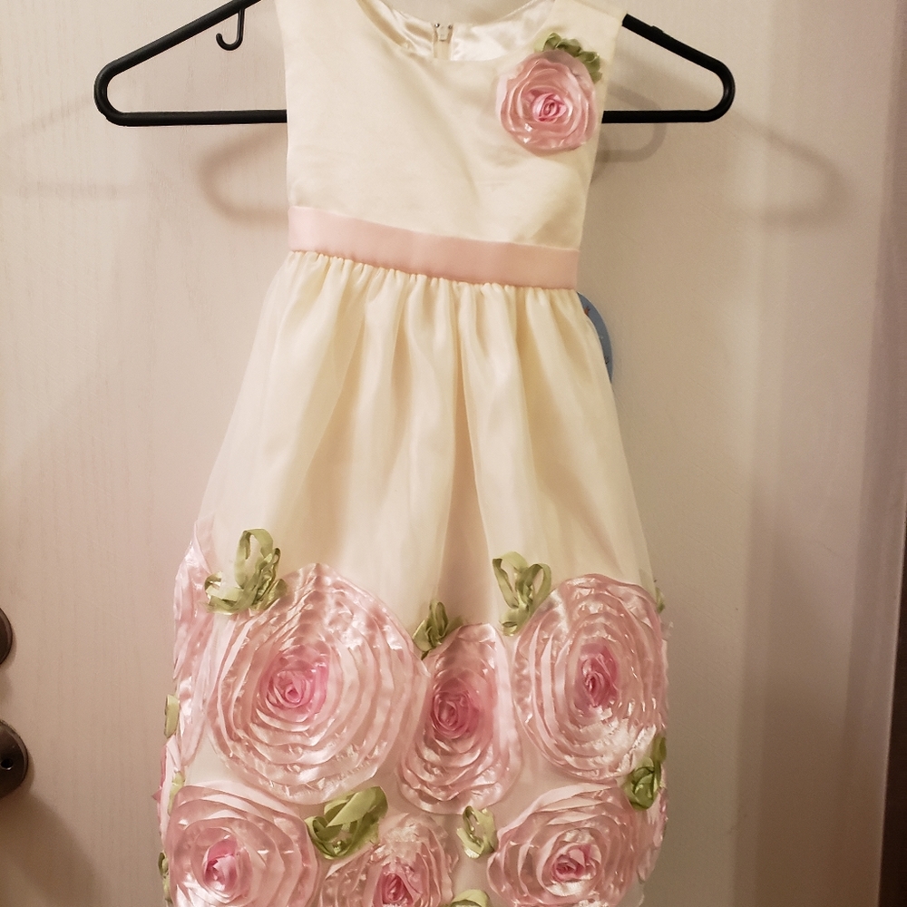 Girls fancy dress. American princess by special occasions